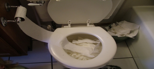 Toilet paper can clog your sewer line