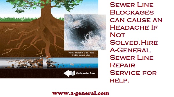 Signs of Sewer Line Blockage
