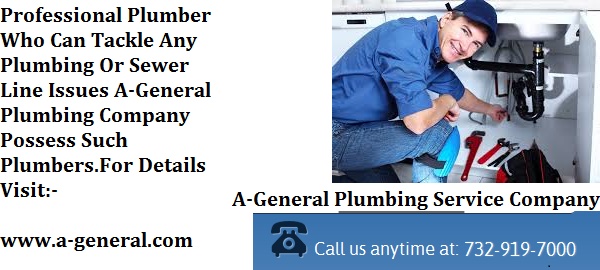 How Professional Plumbers Can Save Your Expenses
