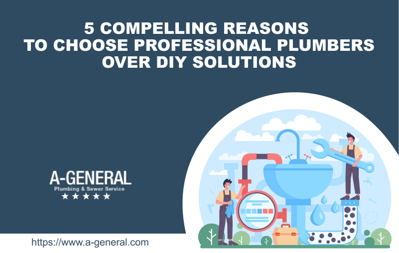 5 Compelling Reasons to Choose Professional Plumbers Over DIY Solutions